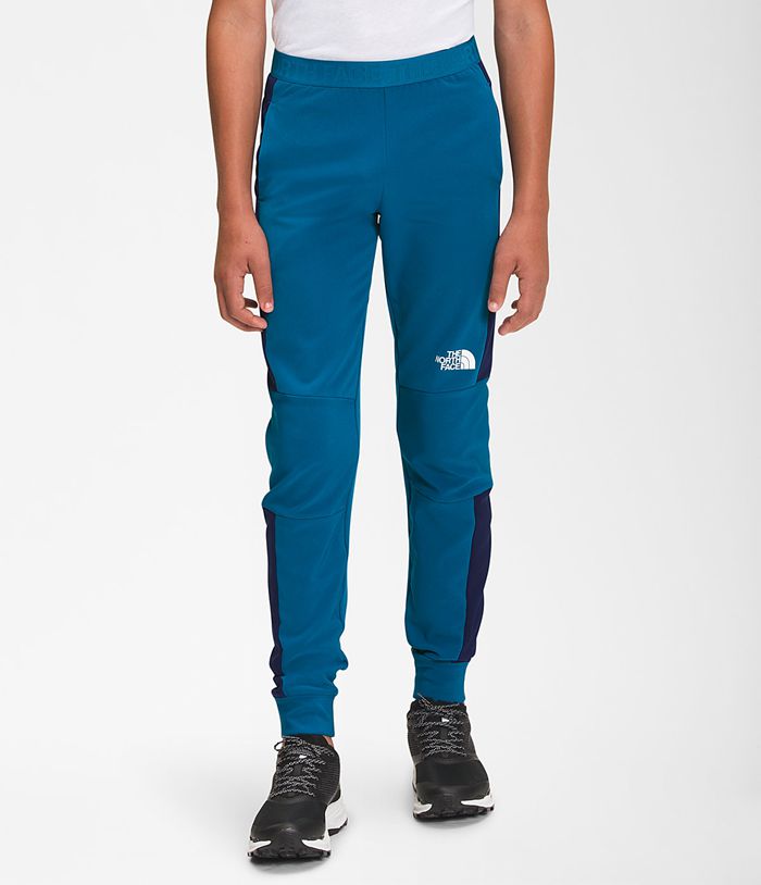 The North Face Tekware® Jogger Boys Bottoms Blue 597286-NVJ